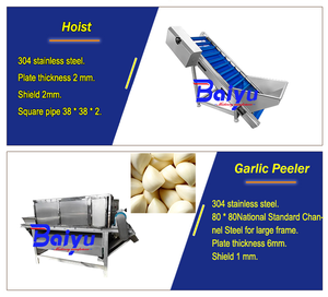 Baiyu Garlic Production Line Fruit &amp; Vegetable Peeling Machine for Separating <strong>Sorting</strong> Packing Garlic - Product Image 4