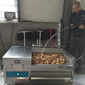 Endüstriyel rulo fırça kök sebze yıkama soyucu turp patates temizleme yıkama ve soyma kesme makinesi