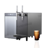 Distributeur de café froid Nitro TWBEVERAGE à performance stable, connectable aux fûts BIB, avec réfrigérateur