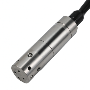 Sensor de Nivel de Agua Sumergible Hidrostático de 12V, Acero Inoxidable, Precisión del 0.5%, Resistente al Agua IP68 - Product Image 2