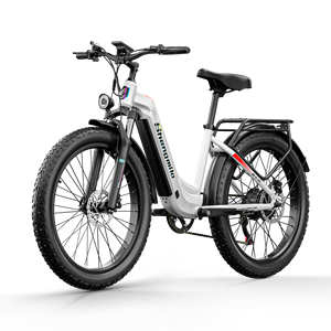 Bicicleta Eléctrica de Montaña con Doble Motor de 48v 1000w, Doble Batería y Neumáticos Anchos, con Garantía de Cinco Años - Product Image 6