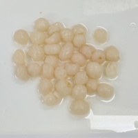 Premium 100% verse Halal gecertificeerde ingeblikte longan in siroop, zoet, klaar om te eten, tropisch fruit voor desserts & snacks