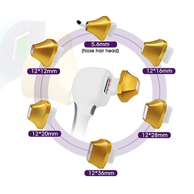 Poignée + 6 pointes