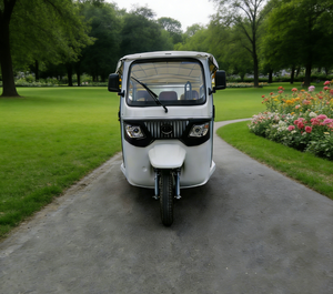 TUKTUK Cinese per Adulti, Aperto o Coperto, Triciclo Taxi per 6 Passeggeri, Bus per Gite Turistiche - Product Image 3