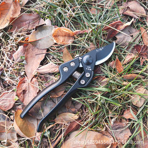 Cisailles de taille Hisaichiro 770, design papillon en acier au carbone de 50 mm, pour branches d'arbres fruitiers, coupe épaisse jusqu'à 30 mm - Product Image 1