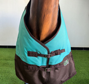 سجادة جديدة متينة من البوليستر 1200d مقاومة للرياح والفروسية الشتوية بساط ثابت للطقس البارد - Product Image 6