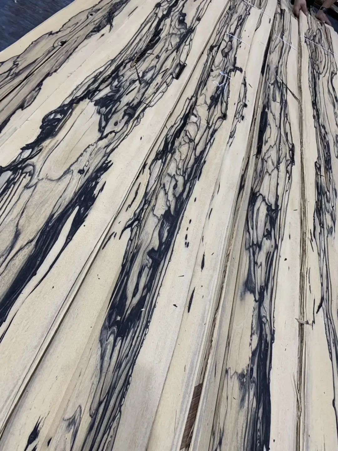 Diospyros malabarica-chapa de madera natural de ébano, color blanco y negro, alta calidad