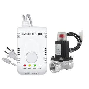 Detektor Alarm kebocoran Gas alam, propana metana Gas alam LPG dengan DN15/DN20 tutup darurat katup Solenoid