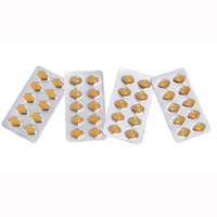 Comprimés à base de plantes en marque privée OEM/ODM : Pilules à base de plantes pour hommes 100 mg/500 mg
