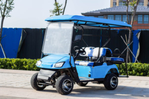 Voiturette de golf électrique WELIFTRICH 3-4 places, batterie lithium 60V, chariot de tourisme et de chasse, roues blanches et noires, toit entièrement étanche - Product Image 3