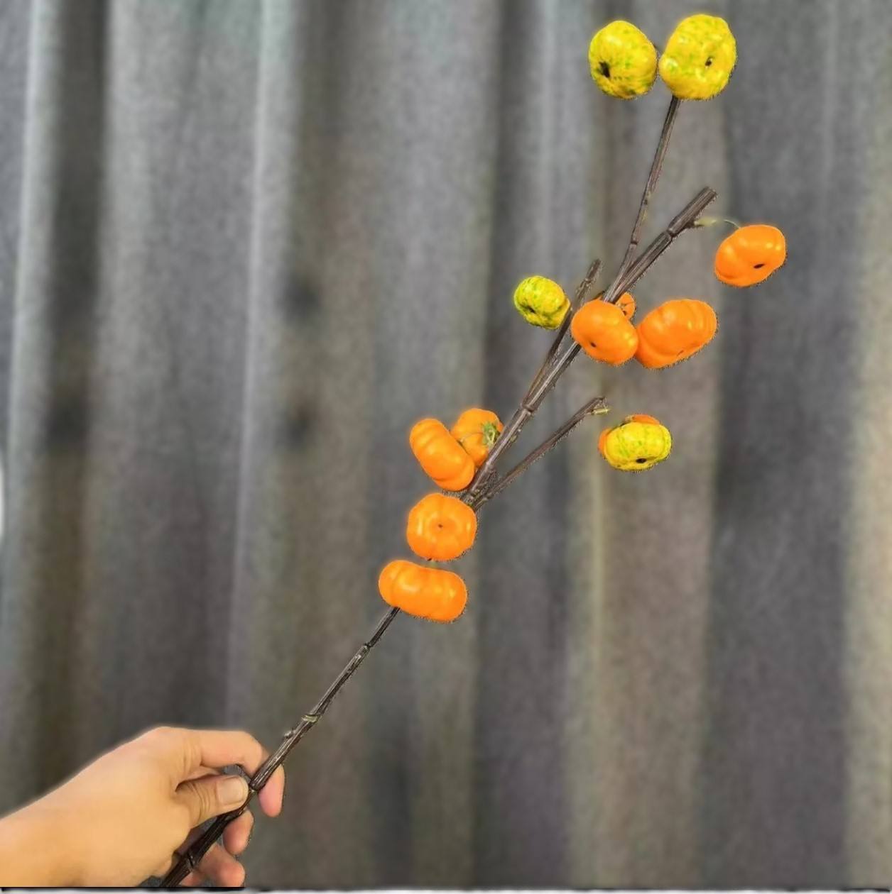 13 petites citrouilles