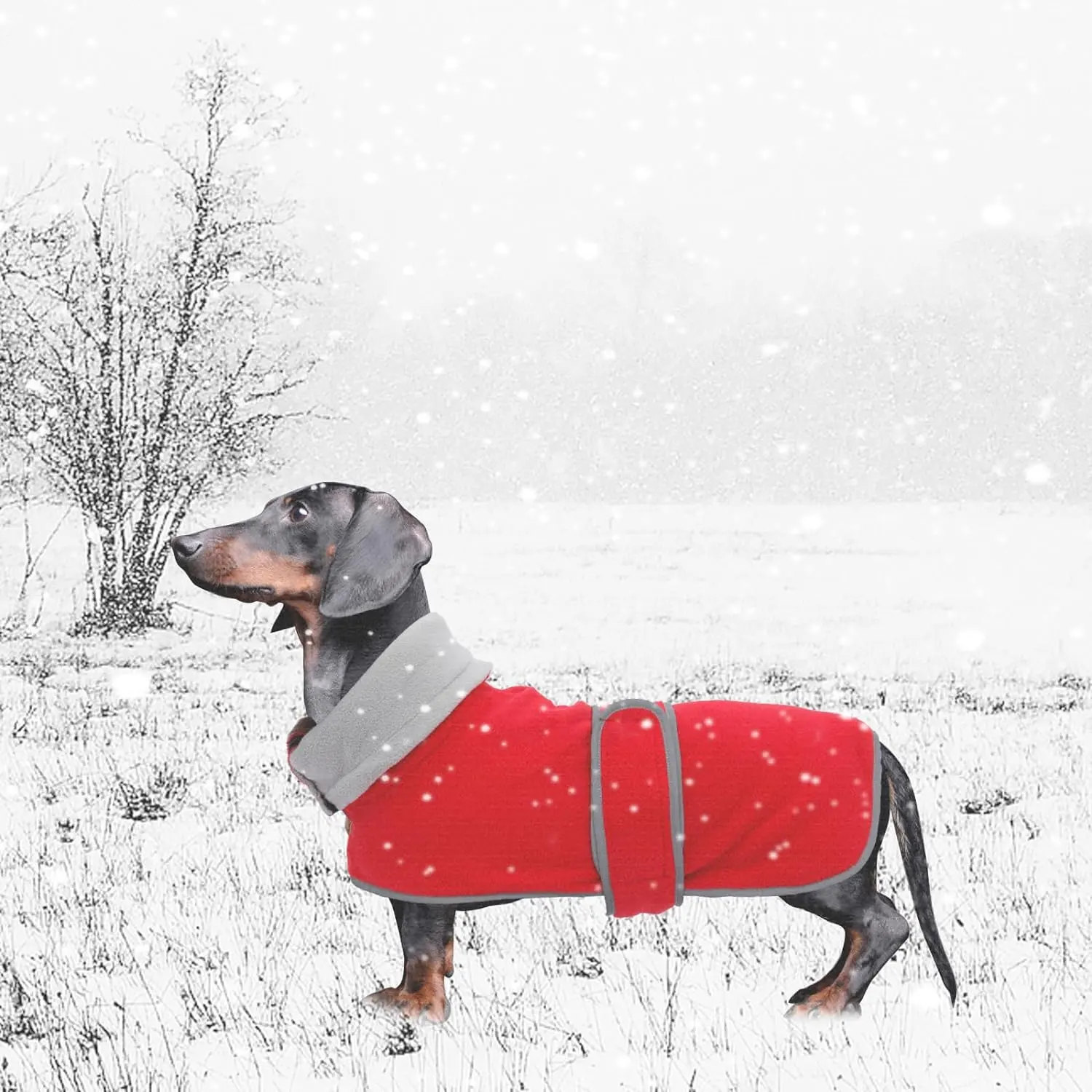 Cappotto invernale per cani in pile