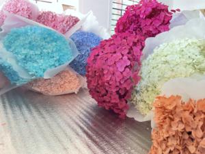 زهور حفلورا محفوظة في زهرة الكوبية الطبيعية الجافة رؤوس الكوبية الخضراء للزينة - Product Image 5