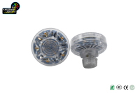 Ampoule LED Pixel en Plastique pour Parc d'Attractions AC24V Funfair 60MM E14 21LED 360 IP65