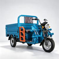 Kart électrique tout-terrain 750W 48V pour adultes avec batterie 20Ah, moteur BLDC, transmission par arbre, buggy des dunes, utilisation en extérieur, 70 km/h, charge 200 kg