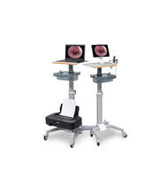 Système de caméra endoscopique vétérinaire sans fil 1080P pour endoscope rigide avec batterie rechargeable pour examen ORL