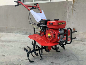 Máquina de Aporque para Agricultura, Cultivadora y Desmalezadora en Venta - Product Image 6