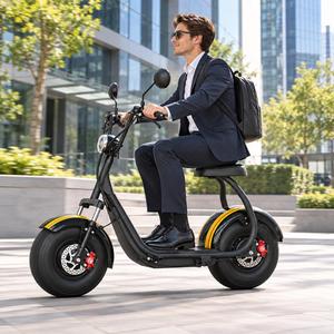 R1 Citycoco Elektroroller 1000W 35-40km Reichweite 8 Zoll Fettreifen Einzelhandelsversorgung Brasilianisches Lokales Lager - Product Image 5