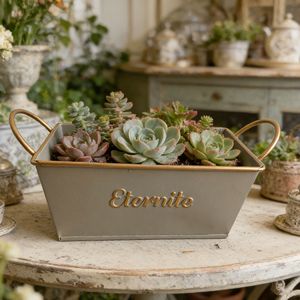 Wholesale Low-Priced French Retro Style Wrought Iron Square Flower Pots Succulent <strong>Planters</strong> for Gardens Courtyards Villas - Product Image 1