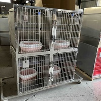 Cage pour chien en métal noir robuste avec revêtement anti-rayures pour chiens actifs