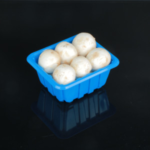 Plateau d'emballage de champignons frais en plastique PET blister transparent de qualité alimentaire Hengmaster - Product Image 4