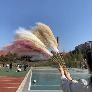 FCR1001 vendita calda del fiore artificiale di seta pampas fiori di plastica per la decorazione di cerimonia nuziale