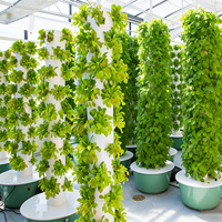 Système de Tour Hydroponique Verticale Polyvalent, Conçu pour la Culture de Légumes, d'Herbes Aromatiques et de Petits Fruits