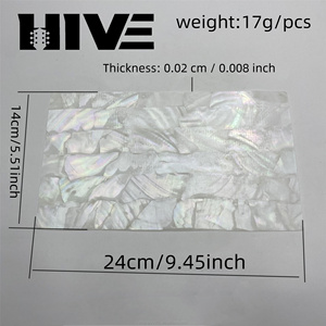 HIVE Wholesale Exquisite Pure Natural Paua Mother Pearl Abalone <strong>Shell</strong> Sheet Decorative White <strong>Shell</strong> Paper for Guitar Decoration - Product Image 2