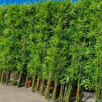 Bambu Buatan untuk Dekorasi Interior, Partisi, dan Penataan Lanskap Taman Halaman
