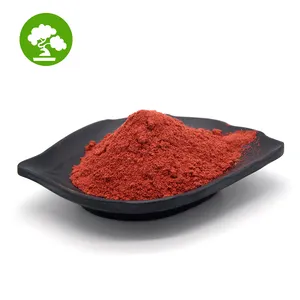 Puro naturale mirtillo rosso frutta in polvere estratto di mirtillo in polvere
