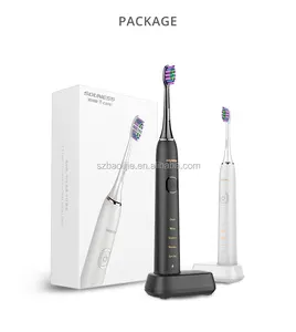 Baolijie OEM ODM Manufacture SN903 Waterproof Vibrating Battery Powered Operated Automatic Sonic Electric Toothbrush