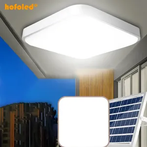 Luz de teto solar interior 50W 100W 150W Luz solar interior Home House com controle remoto