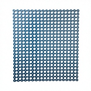 BISONS Wholesale - Maille de cranioplastie manuelle en titane pour la neurochirurgie, la reconstruction cérébrale et l'implantation crânienne - Kit complet - Product Image 1