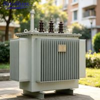 Transformateur de puissance immergé dans l'huile 630 kVA 1000 kVA 35 kV – Équipement électrique pour l'alimentation industrielle