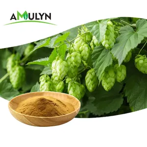 Beer Hops Extract Professional Supplier For Hops Extract