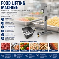 Élévateur vertical industriel à trémie, hauteur personnalisable - Gain de place, SUS304 pour ligne de traitement de viande et légumes surgelés