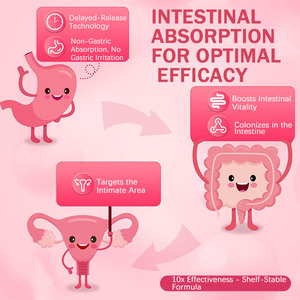 Tiras Orales de Enzimas Probióticas para Mujeres OEM/ODM, para la Salud Digestiva e Inmunológica, Flora Vaginal Saludable, Apoyo a la Belleza, Suplemento Dietético para Adultos - Product Image 3