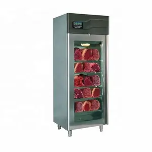 Dry Steak Beef Freezer Meat Maturing Fridge Steak Ager New Dry Aging Refriferator