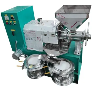 olive groundnut oil extraction machine/avocado small cold press oil machine/automatic nigella oil mill prices