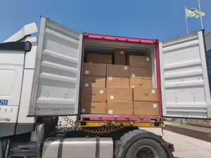 <span class=keywords><strong>OEM</strong></span> 6% 10-HDA arı sütü dondurularak kurutulmuş toz yüksek kaliteli arı ürün fabrika kaynağı toplu Premium arı sütü toz - Product Image 6