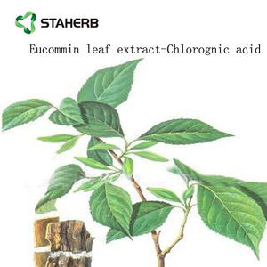 Бесплатный образец, экстракт листьев Eucommia, порошок, порошок Хлорогеновой кислоты, 5%-98% - Product Image 6