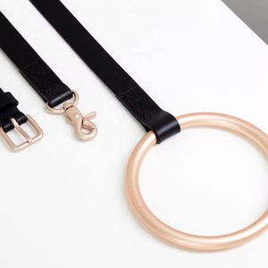 Correa de perro de cuero de lujo con asa de anillo de metal, Correa y collar de perro de alta calidad para cachorros y gatos - Product Image 5