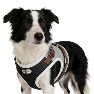 <span class=keywords><strong>Harness</strong></span> Anjing Anti-Tersedak Terbaik - Tanpa Tarikan, Nyaman, Rompi Jalan-Jalan Mudah Semua Ukuran - Product Image 2