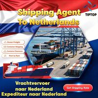 Agente de Envíos, Transporte Marítimo a Holanda, Puerto de Cebú, Servicio de Mensajería DHL, Envío Exprés, Agente de Envíos Aéreos