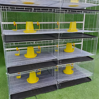 Meilleur prix cage de couveuse en acier de type H nouvel équipement automatique de volaille pour les éleveurs de poulets poulettes cailles maille couche batterie fermes