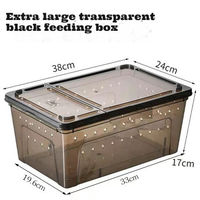 Boîte d'alimentation ventilée pour reptiles, robuste et transparente, pour animaux de compagnie, idéale pour l'escalade et l'alimentation - Vente chaude