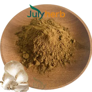 Julyherb naturale e sintetico 4:1 10:1 ostrica fungo estratto in polvere