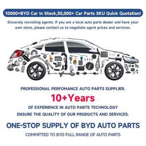 Compatibile con BYD Song Plus OE 13134393-00, Porta <span class=keywords><strong>Auto</strong></span> Preverniciata Compatibile con BYD Atto 3, Pronta per Sostituzione da Collisione - Product Image 4