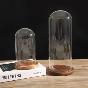 Gül korumak için taban cam kapaklı Mini şeffaf cam kubbe