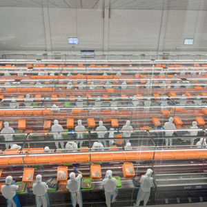 Línea de producción de pescado de sardinas enlatadas de alta calidad de fábrica, equipo de fabricación de sellado de conservas, planta de procesamiento - Product Image 2